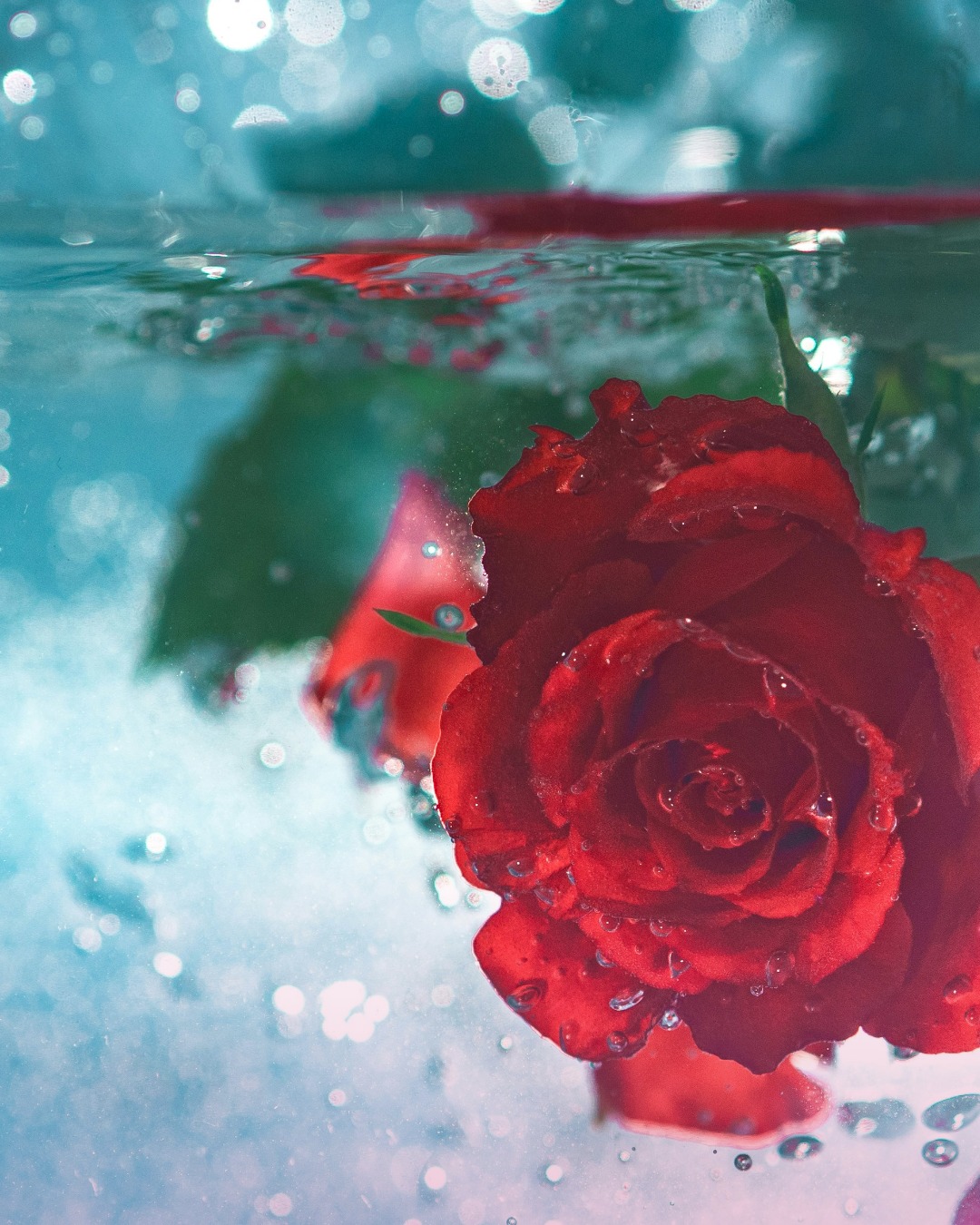 Rose PDRN Facial Mask